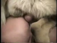 Furry pet porn lady got banged hard